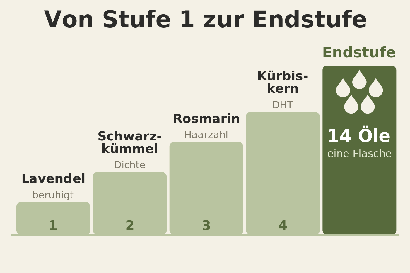 Grafik: vier aufsteigende Stufen mit Lavendel, Schwarzkümmel, Rosmarin und Kürbiskern, darüber die Endstufe mit 14 Ölen in einer Flasche